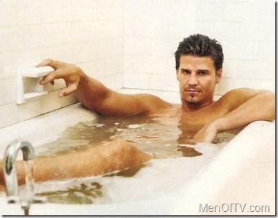 david boreanaz tub